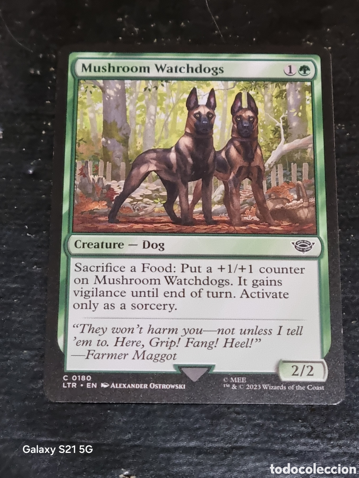 Trading cards: MAGIC THE GATHERING - EL SE&Ntilde;OR DE LOS ANILLOS 180 - Foto 1