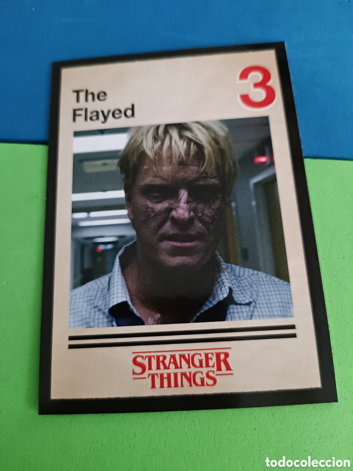 Cartas Colecion&aacute;veis: 65 Panini Stranger Things: This is our story carta Esta es nuestra historia