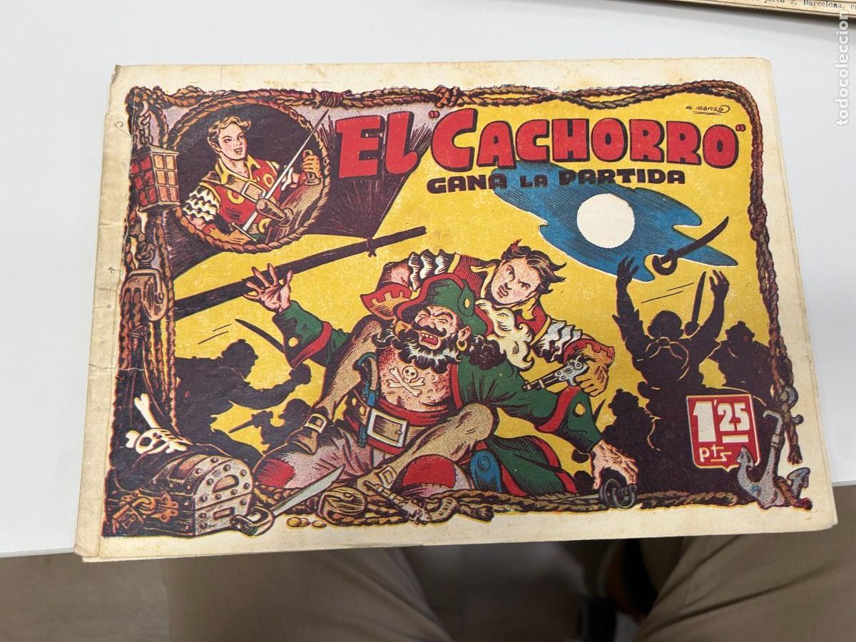 Trading Cards: el cachorro n&ordm; 20 lomo reforzado