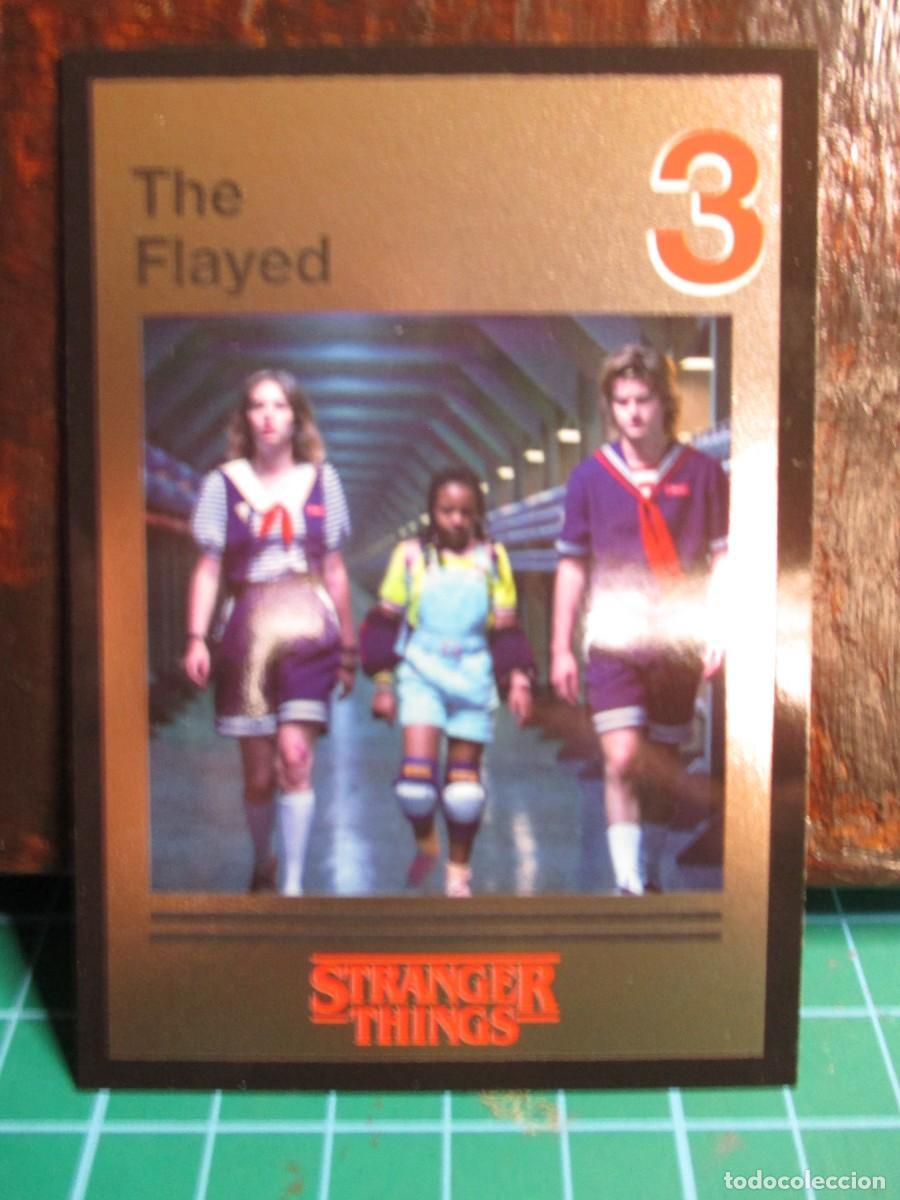 Trading Cards: 204- Colecci&oacute;n PANINI - Stranger things, this is our story, n&ordm; 64 &ndash; Netflix