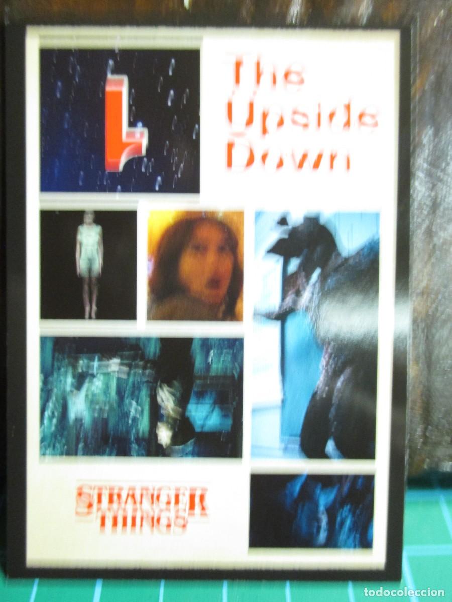 Trading Cards: 242- Colecci&oacute;n PANINI - Stranger things, this is our story, n&ordm; 167 &ndash; Netflix