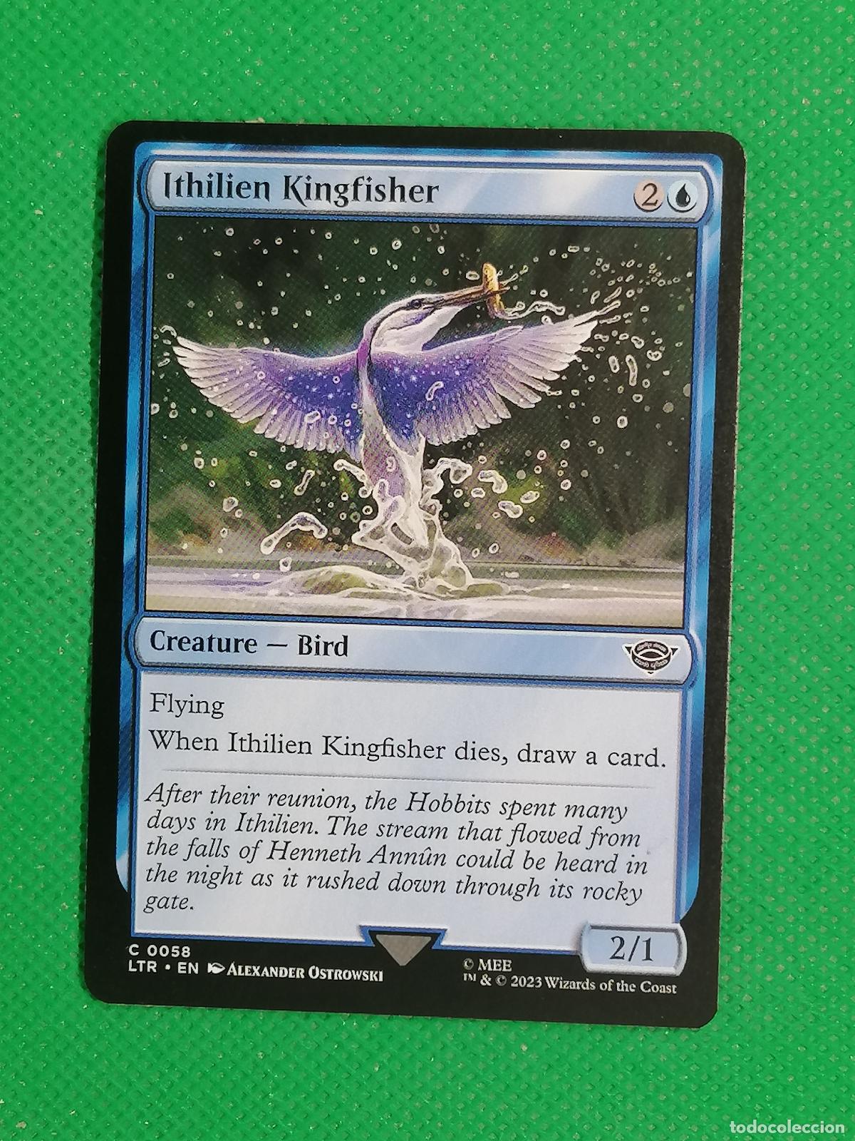 Trading Cards: 058 ITHILIEN KINGFISHER ENGLISH ⚽ WIZARD OF THE COAST 2023 MAGIC THE GATHERING ⚽