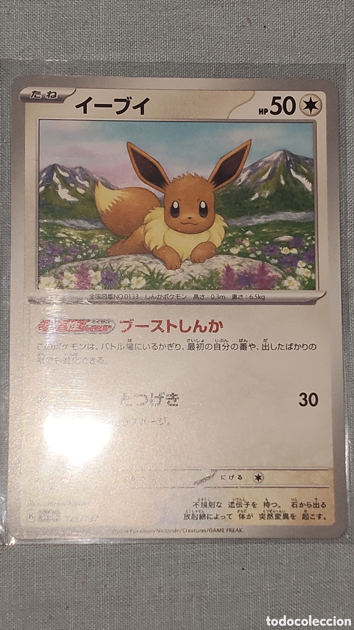 Trading Cards: Eevee#125/187 Terastal Festival Sv8a
