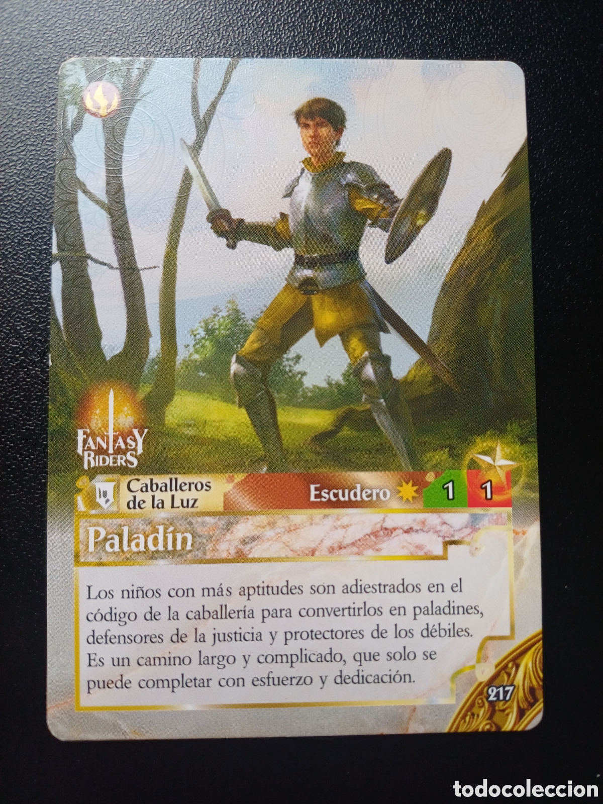 Trading cards: #217 PALADIN PANINI FANTASY RIDER 2018