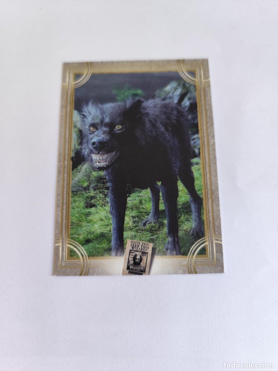 Trading cards: Harry Potter trading cards Welcome to Hogwarts Panini 77
