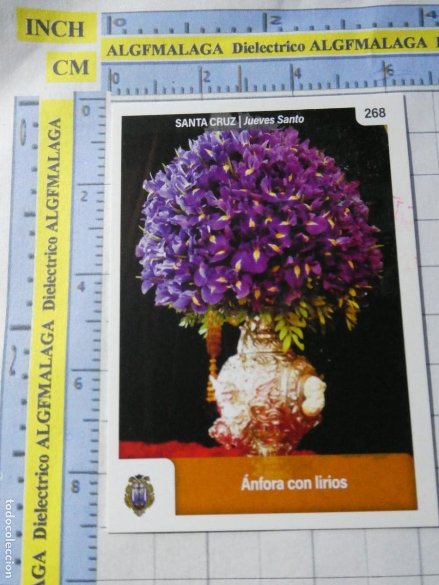 Trading cards: TARJETA TRADING CARD CROMO RELIGIOSO SEMANA SANTA M&Aacute;LAGA. HOLY CARDS. 268 SANTA CRUZ &Aacute;NFORA LIRIOS