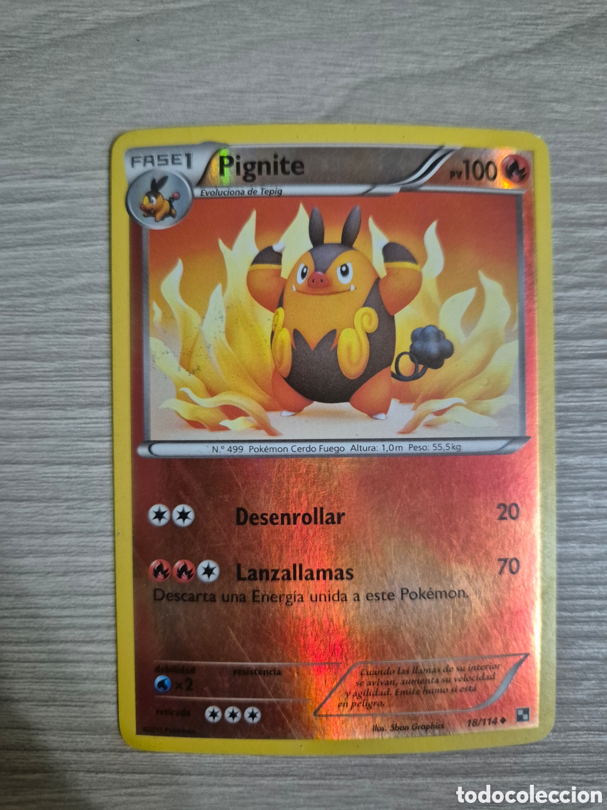 Trading cards: Carta Pok&eacute;mon Pignite 18/114 Holo