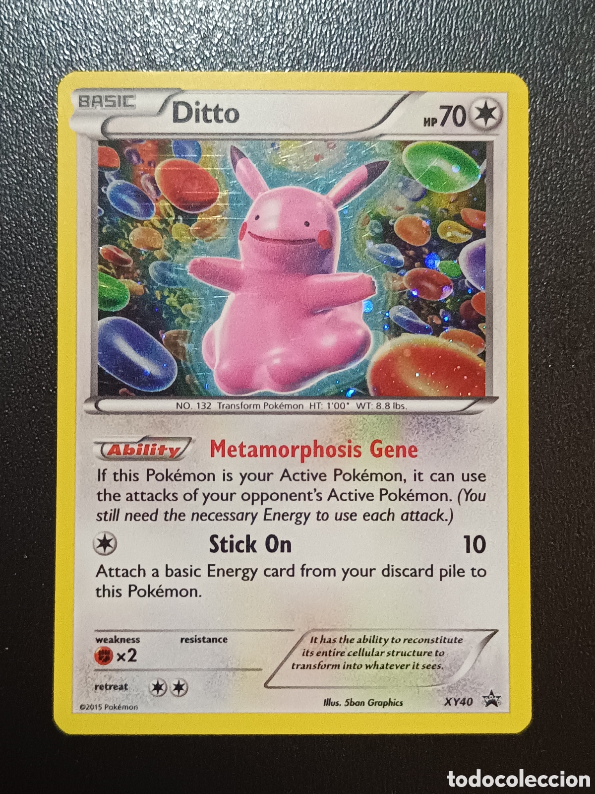 Trading cards: Pokemon Ditto XY40 Promo En Ingles