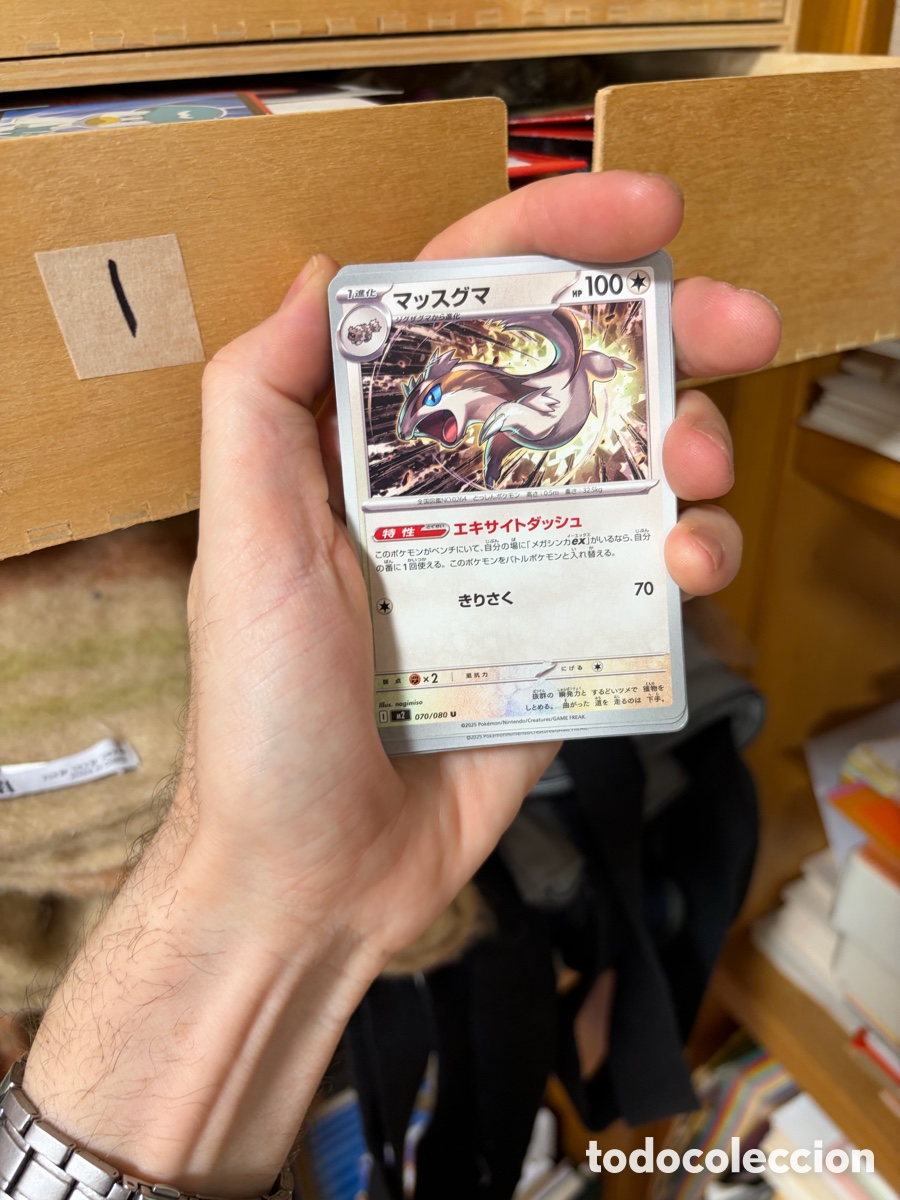 Trading cards: (I) carta Pok&eacute;mon original Nintendo corea Linoone