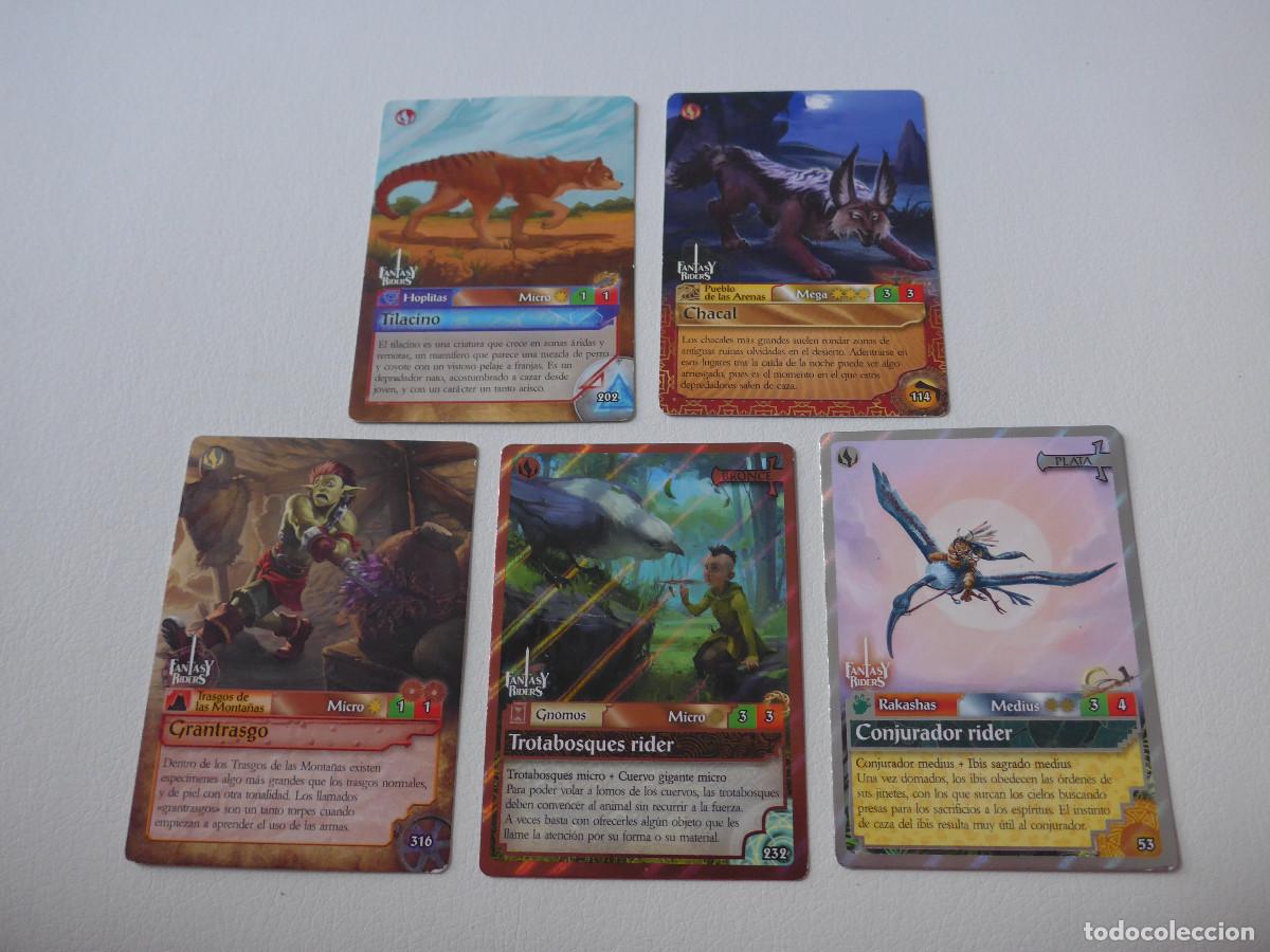 Trading cards: 10 TRADING CARDS FANTASY RIDERS