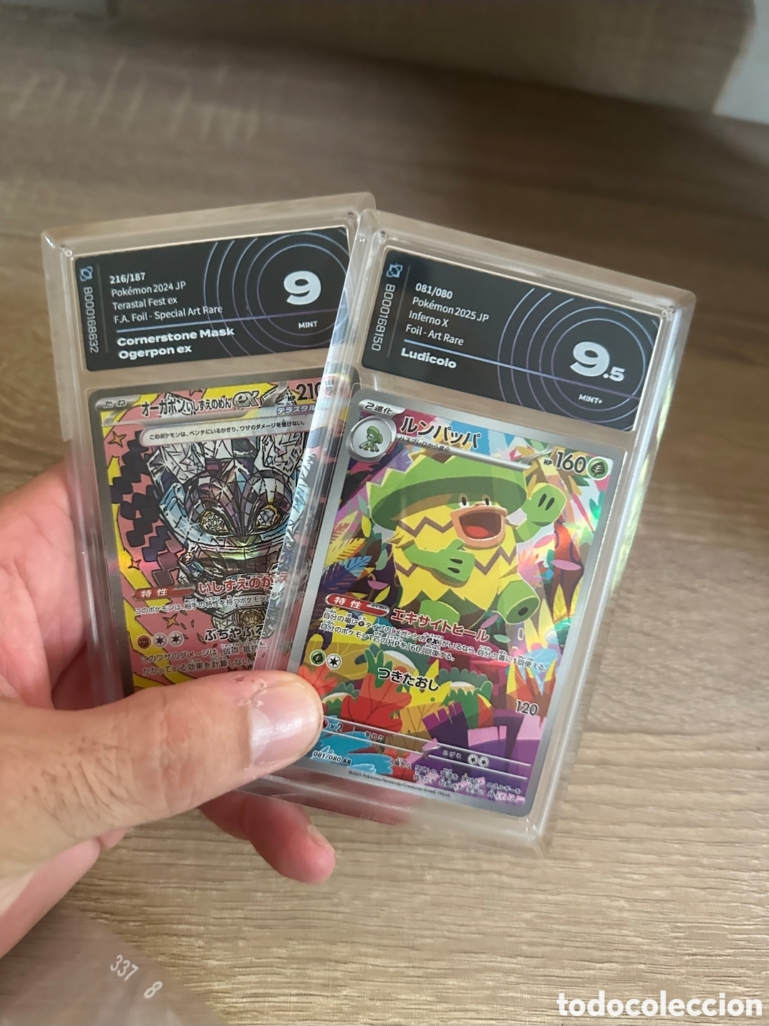 Trading cards: Cartas Pokemon Ogerpon ex y Ludicolo Japoneses Gradeadas