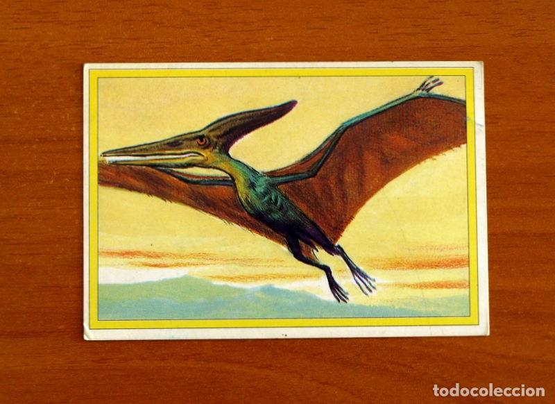 Trading cards: 101 Dinosaurios - n&ordm; 30 Pteranodon - Trading Cards Coleccionables - A&ntilde;os 90