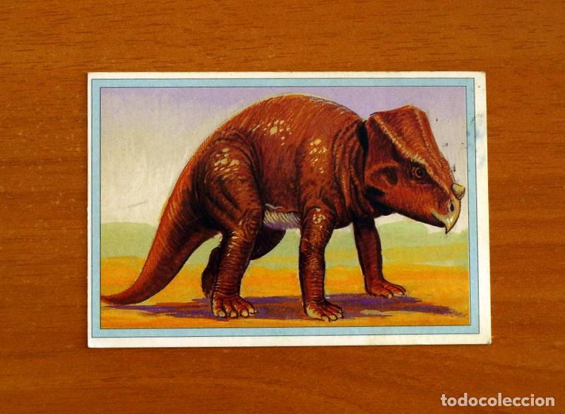 Trading cards: 101 Dinosaurios - n&ordm; 31 Bagaceratops - Trading Cards Coleccionables - A&ntilde;os 90