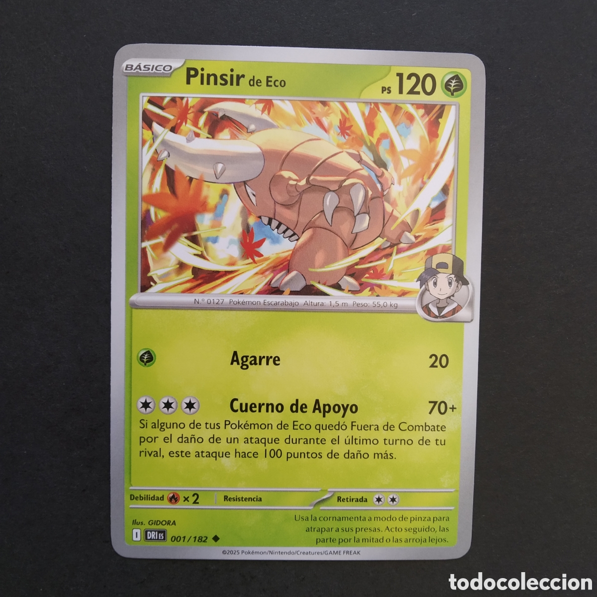 Trading cards: CARTA TCG - N&ordm; 001 - PINSIR DE ECO - RIVALES PREDESTINADOS - POK&Eacute;MON - EN ESPA&Ntilde;OL