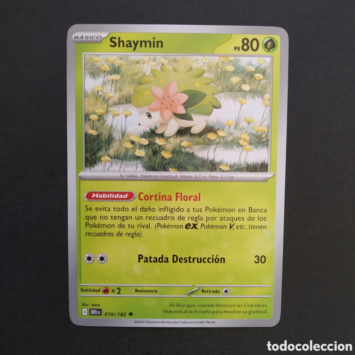 Trading cards: CARTA TCG - N&ordm; 010 - SHAYMIN - RIVALES PREDESTINADOS - POK&Eacute;MON - EN ESPA&Ntilde;OL