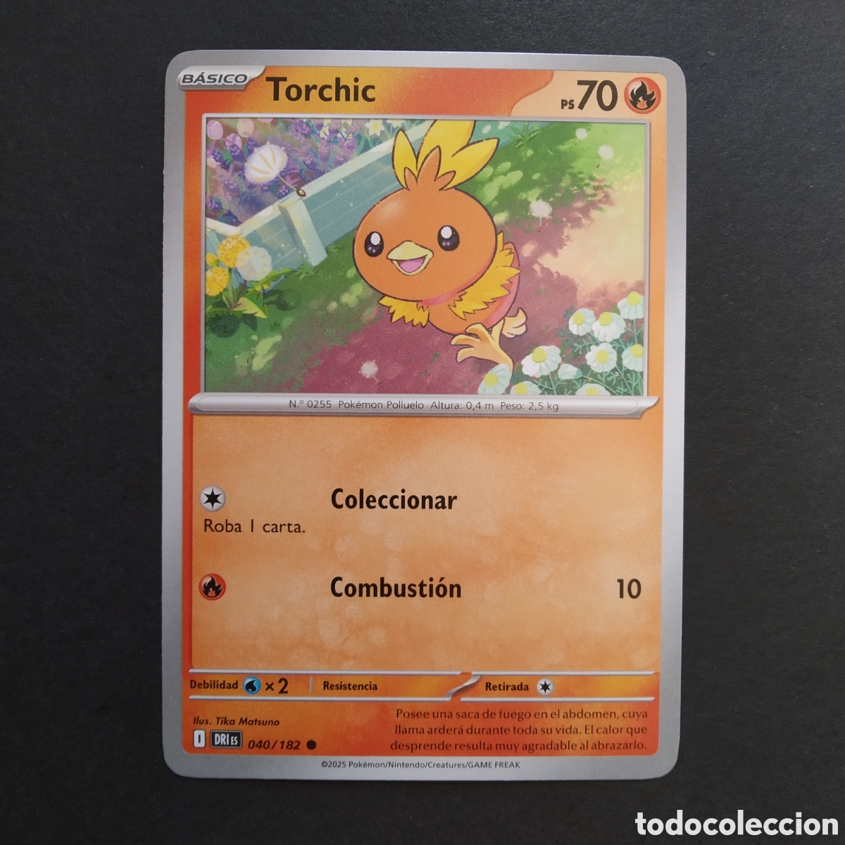 Trading cards: CARTA TCG - N&ordm; 040 - TORCHIC - RIVALES PREDESTINADOS - POK&Eacute;MON - EN ESPA&Ntilde;OL