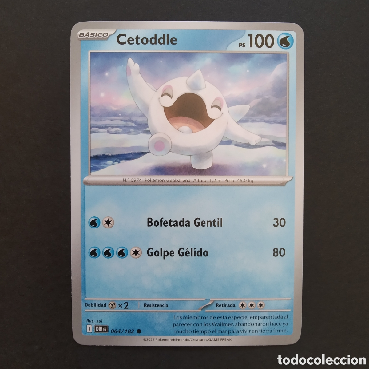 Cartes &agrave; &Eacute;changer: CARTA TCG - N&ordm; 064 - CETODDLE - RIVALES PREDESTINADOS - POK&Eacute;MON - EN ESPA&Ntilde;OL