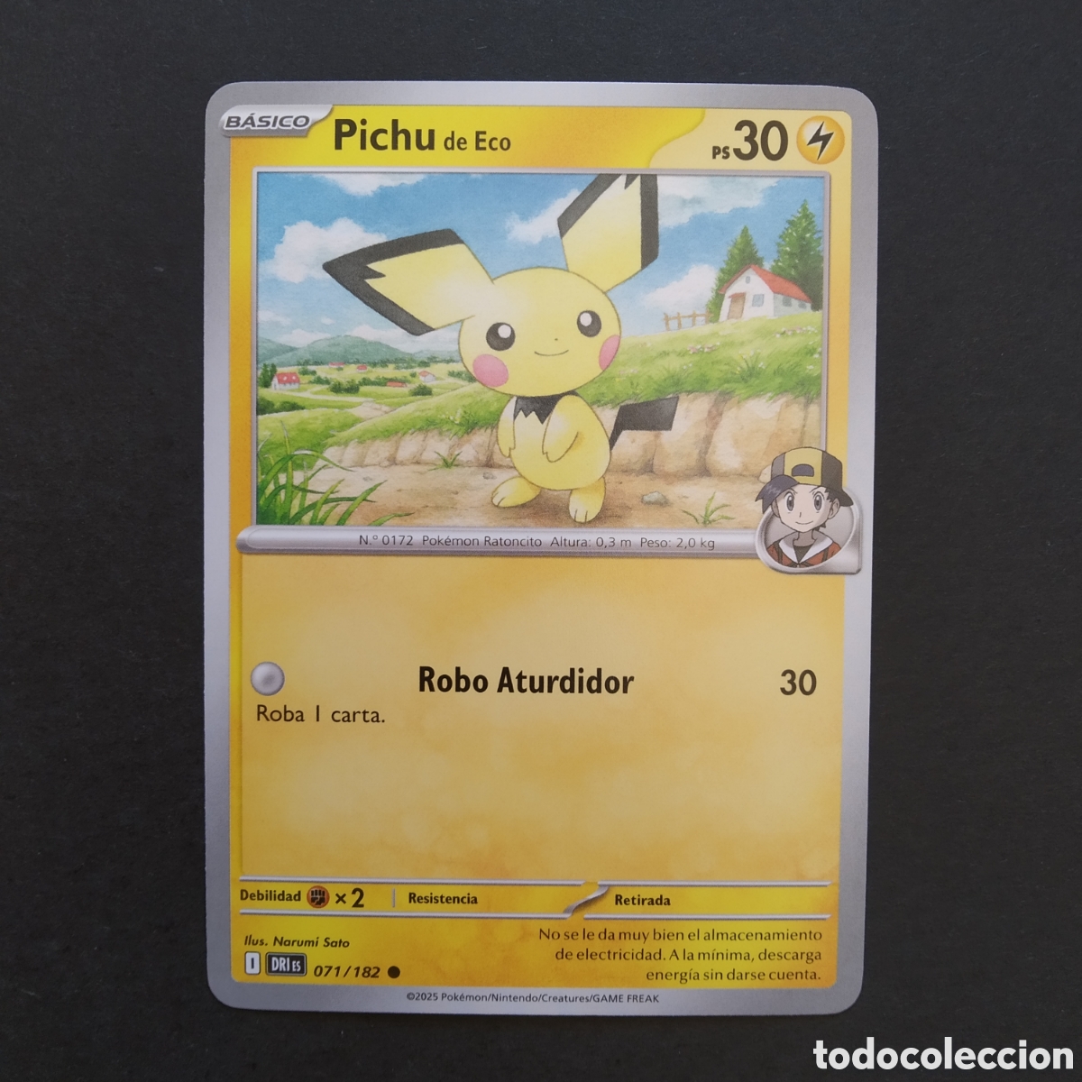 Cartes &agrave; &Eacute;changer: CARTA TCG - N&ordm; 071 - PICHU DE ECO - RIVALES PREDESTINADOS - POK&Eacute;MON - EN ESPA&Ntilde;OL