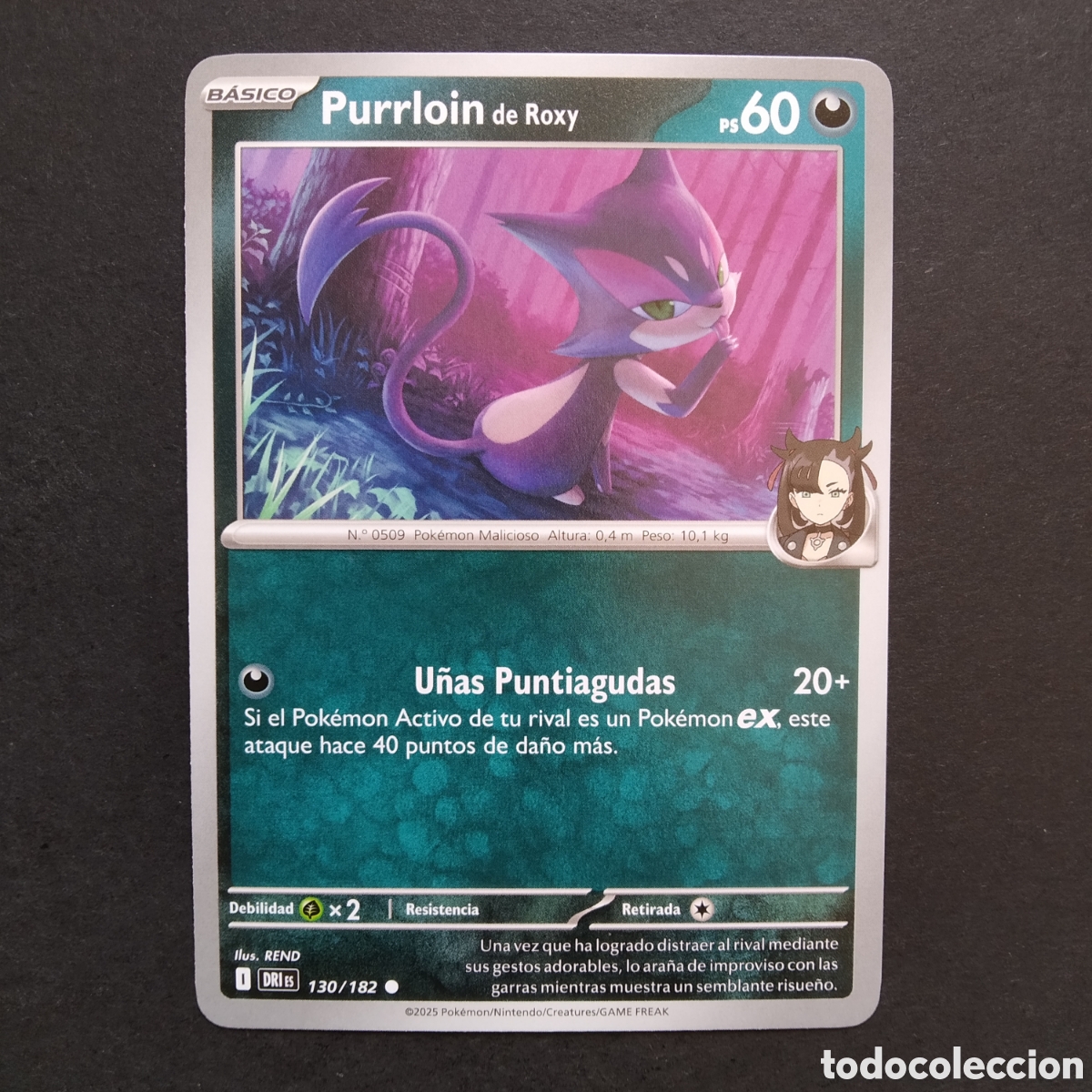 Trading cards: CARTA TCG - N&ordm; 130 - PURRLOIN DE ROXY - RIVALES PREDESTINADOS - POK&Eacute;MON - EN ESPA&Ntilde;OL