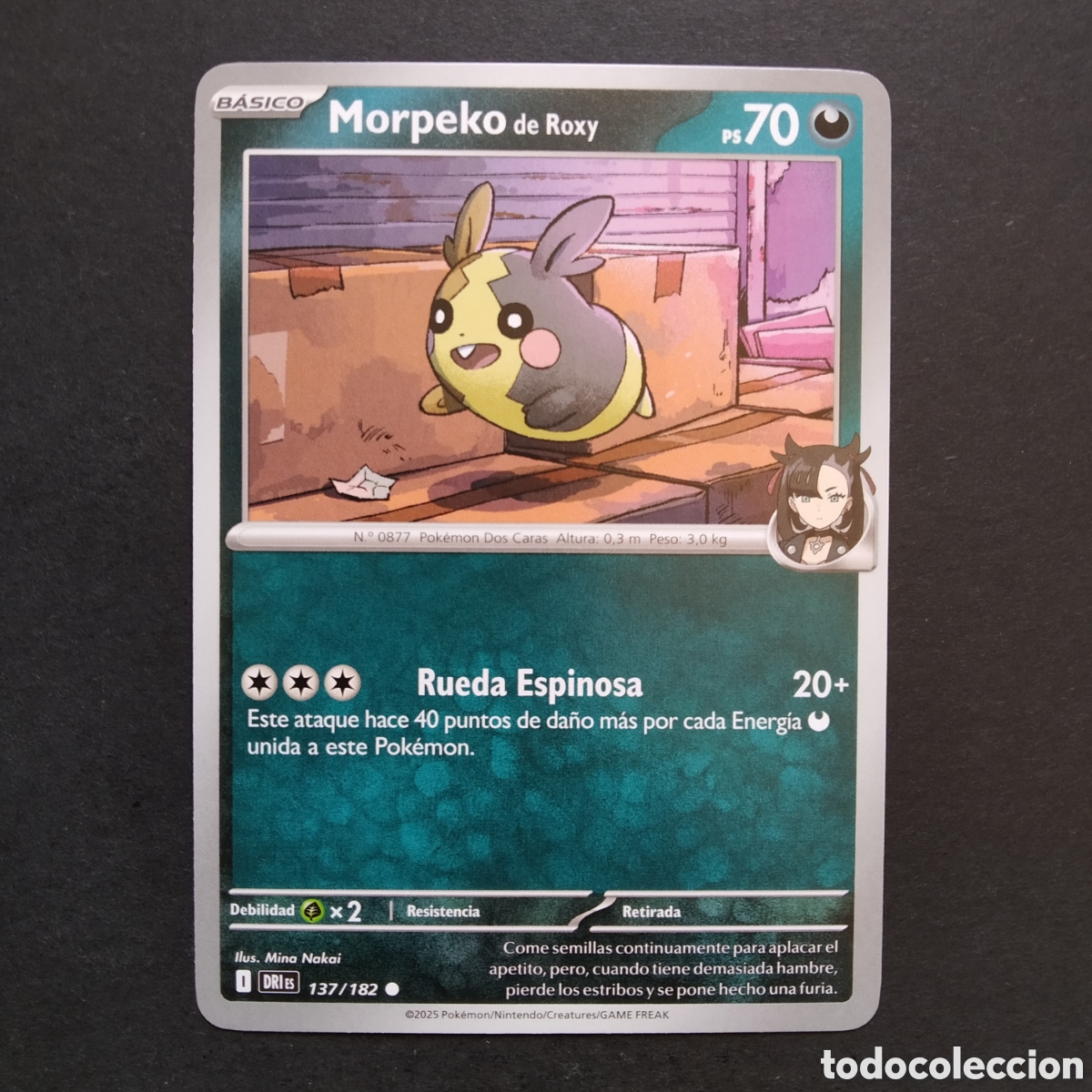 Trading cards: CARTA TCG - N&ordm; 137 - MORPEKO DE ROXY - RIVALES PREDESTINADOS - POK&Eacute;MON - EN ESPA&Ntilde;OL