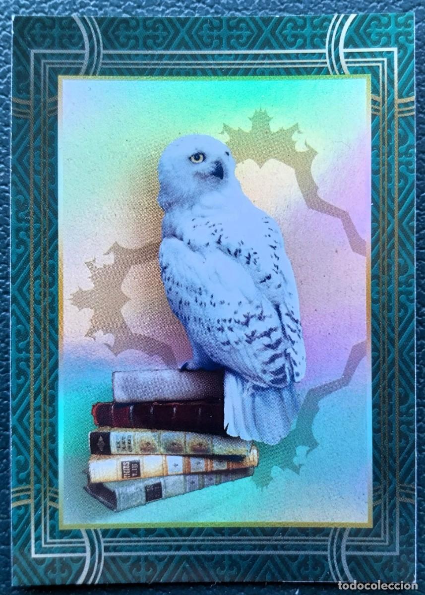 Trading cards: 36 HARRY POTTER WELCOME TO HOGWARTS FICHAS ALBUM CARD WIZARDING WORLD PANINI WARNER BROS. 2021