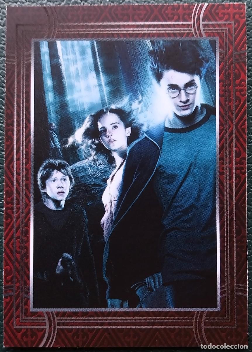 Trading cards: 61 HARRY POTTER WELCOME TO HOGWARTS FICHAS ALBUM CARD WIZARDING WORLD PANINI WARNER BROS. 2021