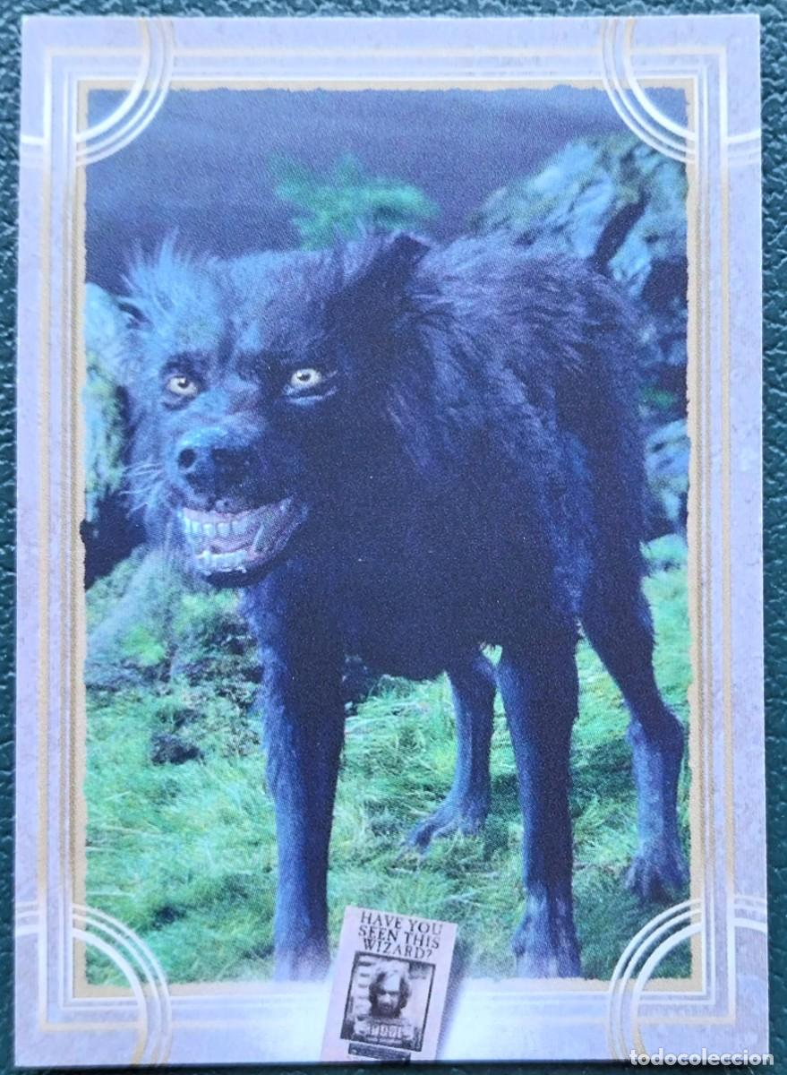 Trading cards: 77 HARRY POTTER WELCOME TO HOGWARTS FICHAS ALBUM CARD WIZARDING WORLD PANINI WARNER BROS. 2021