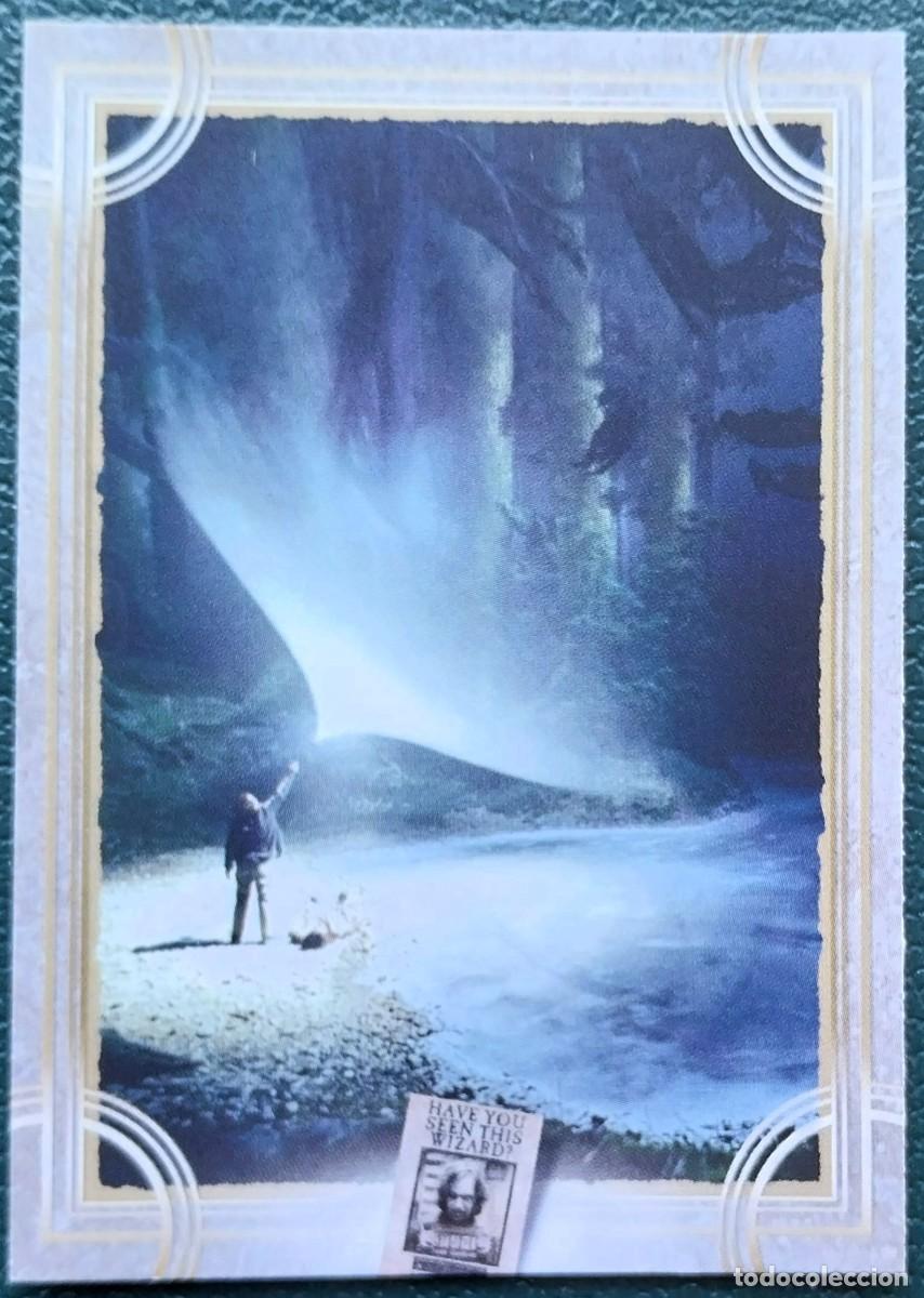 Trading cards: 78 HARRY POTTER WELCOME TO HOGWARTS FICHAS ALBUM CARD WIZARDING WORLD PANINI WARNER BROS. 2021