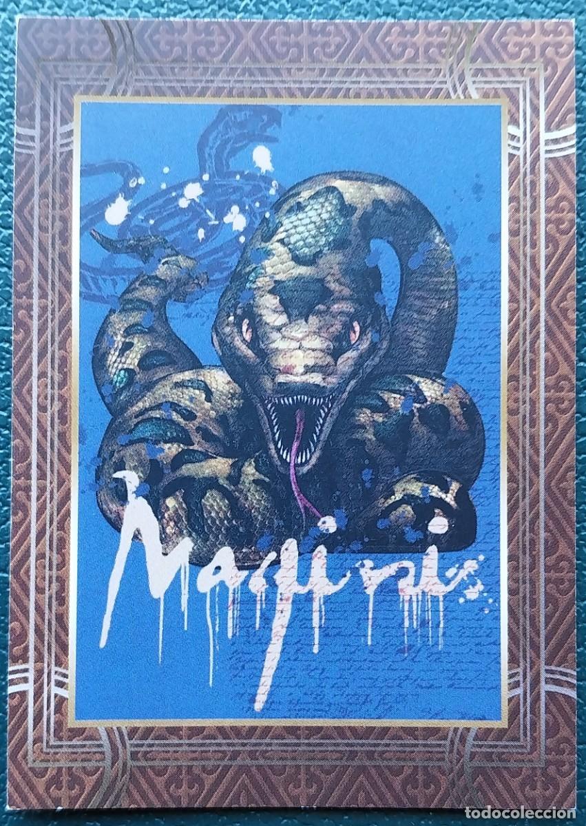 Trading cards: 91 HARRY POTTER WELCOME TO HOGWARTS FICHAS ALBUM CARD WIZARDING WORLD PANINI WARNER BROS. 2021