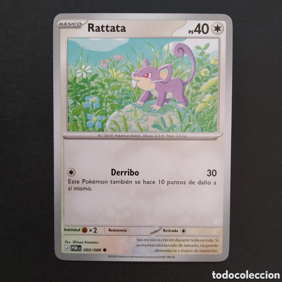 Trading cards: CARTA TCG - N&ordm; 060 - RATTATA - EQUILIBRIO PERFECTO - POK&Eacute;MON - EN ESPA&Ntilde;OL