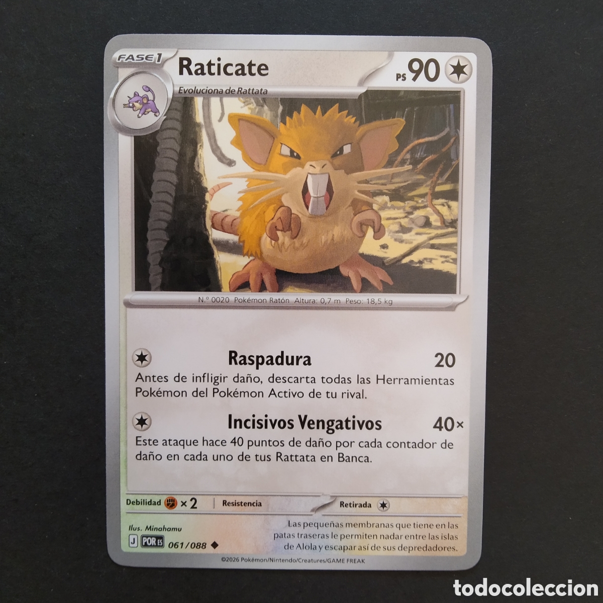Trading cards: CARTA TCG - N&ordm; 061 - RATICATE - EQUILIBRIO PERFECTO - POK&Eacute;MON - EN ESPA&Ntilde;OL