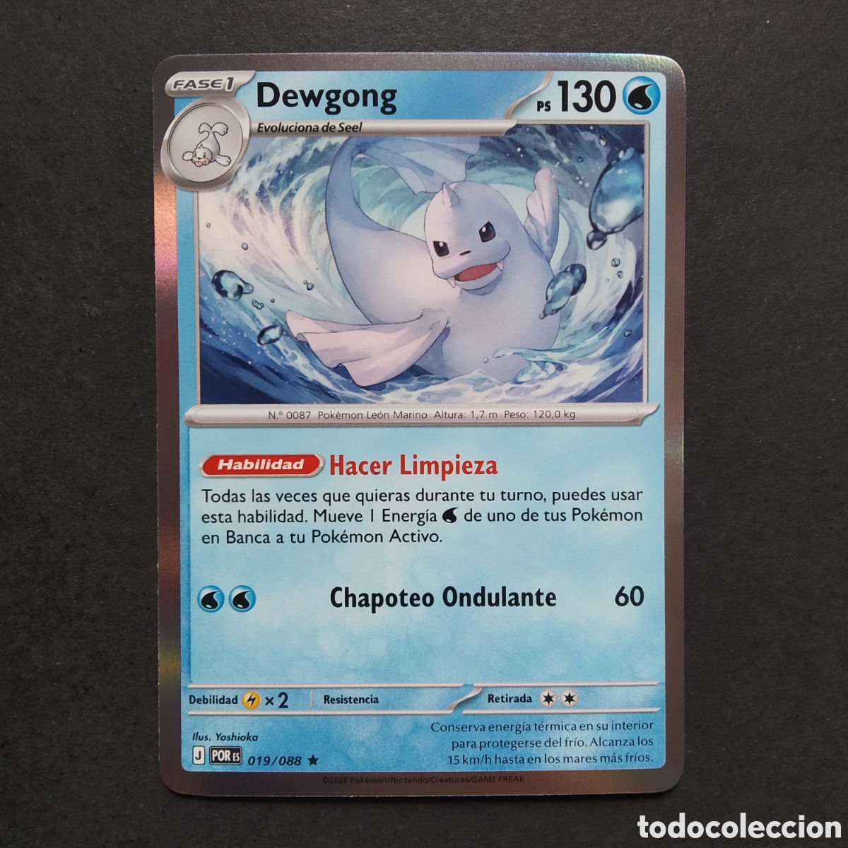 Trading cards: CARTA TCG - N&ordm; 019 - DEWGONG (REVERSE HOLO) - EQUILIBRIO PERFECTO - POK&Eacute;MON - EN ESPA&Ntilde;OL