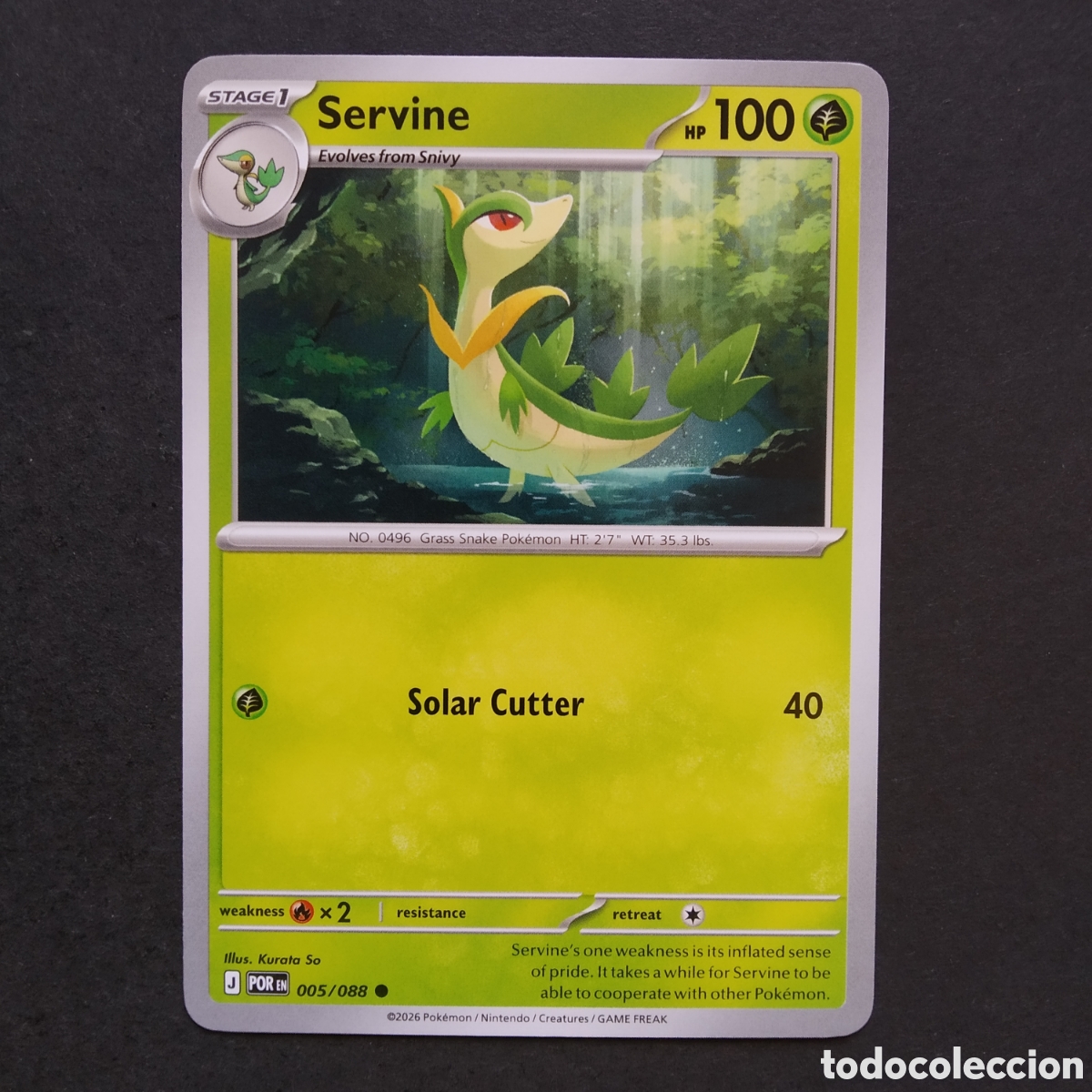 Figurine Collezionabili: CARTA TCG - N&ordm; 005 - SERVINE - PERFECT ORDER - POK&Eacute;MON - EN INGL&Eacute;S