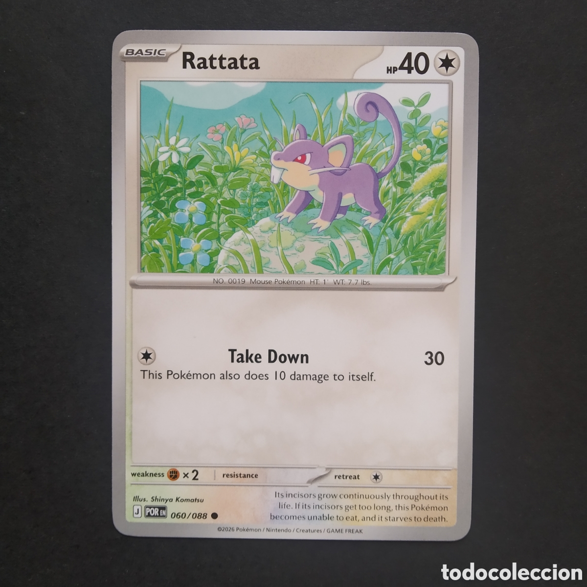 Trading Cards: CARTA TCG - N&ordm; 060 - RATTATA - PERFECT ORDER - POK&Eacute;MON - EN INGL&Eacute;S