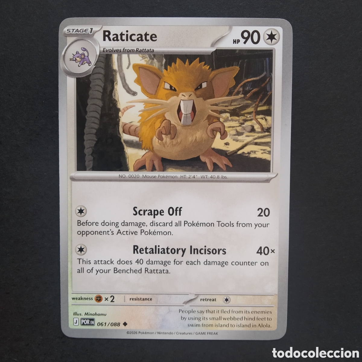 Trading cards: CARTA TCG - N&ordm; 061 - RATICATE - PERFECT ORDER - POK&Eacute;MON - EN INGL&Eacute;S