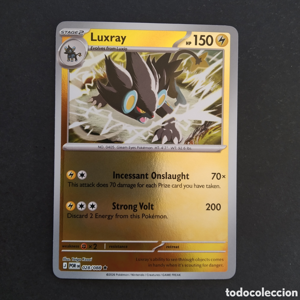 Cartes &agrave; &Eacute;changer: CARTA TCG - N&ordm; 028 - LUXRAY (HOLOGR&Aacute;FICA) - PERFECT ORDER - POK&Eacute;MON - EN INGL&Eacute;S