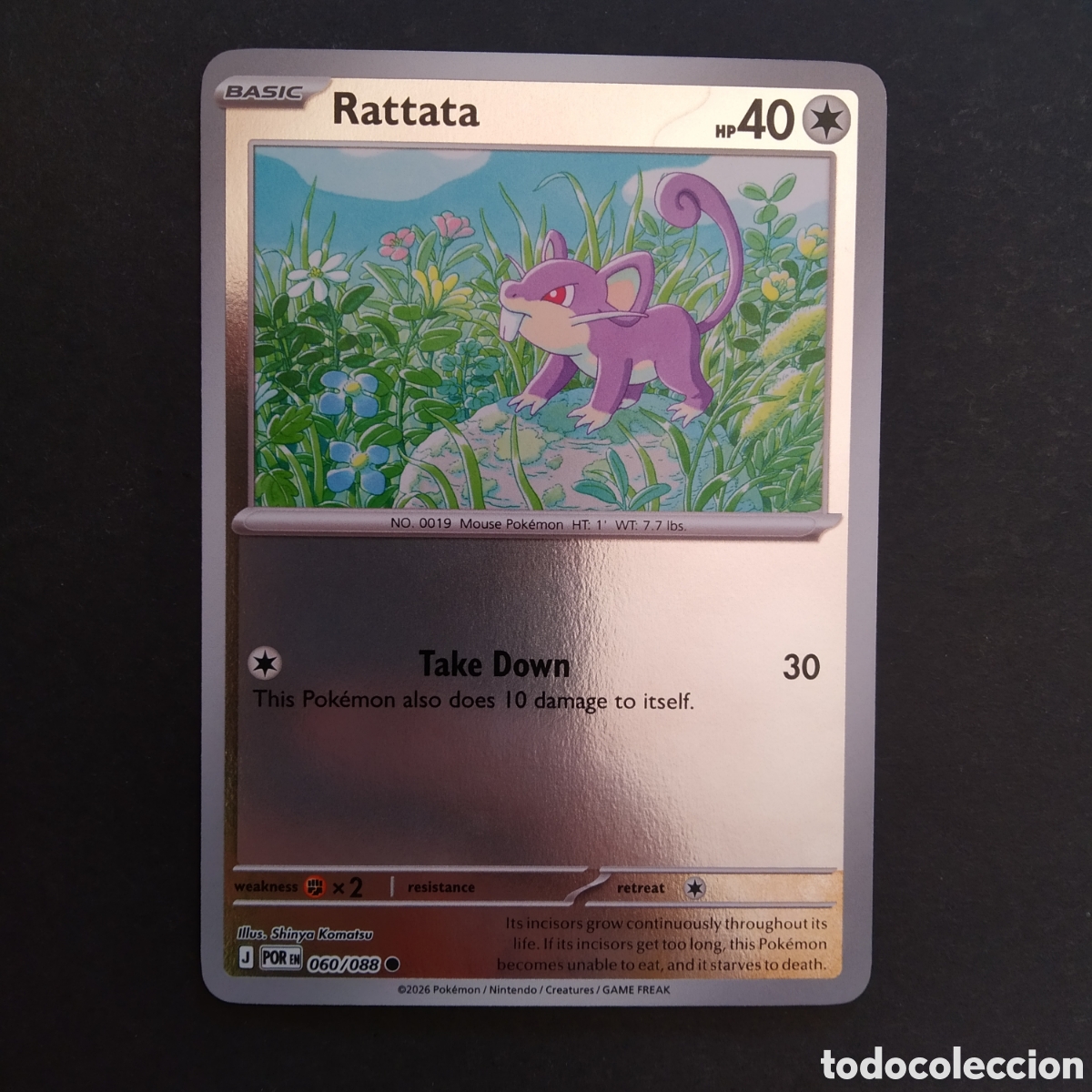 Trading Cards: CARTA TCG - N&ordm; 060 - RATTATA (HOLOGR&Aacute;FICA) - PERFECT ORDER - POK&Eacute;MON - EN INGL&Eacute;S
