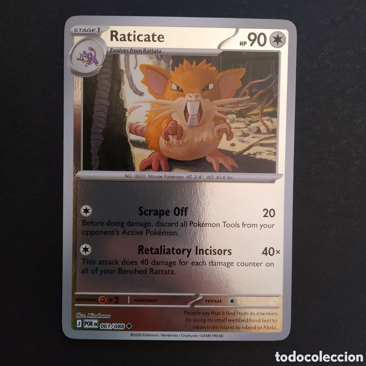 Trading cards: CARTA TCG - N&ordm; 061 - RATICATE (HOLOGR&Aacute;FICA) - PERFECT ORDER - POK&Eacute;MON - EN INGL&Eacute;S