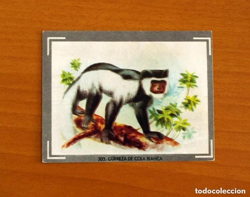 Trading Cards: Cromo n.303 vida y color (1) 1965 - sin pegar