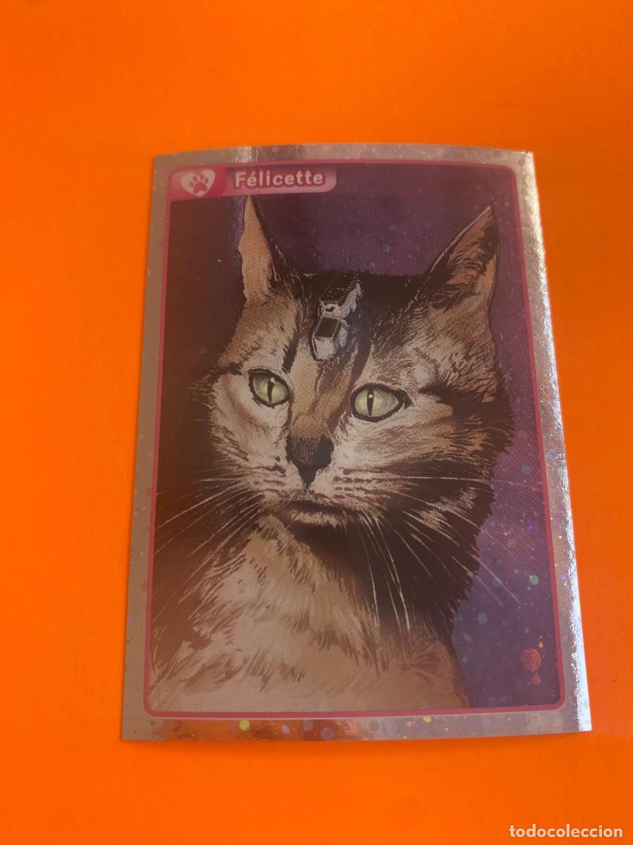 Trading cards: Cromo El Gran &Aacute;lbum del mundo animal 2013 n. 208