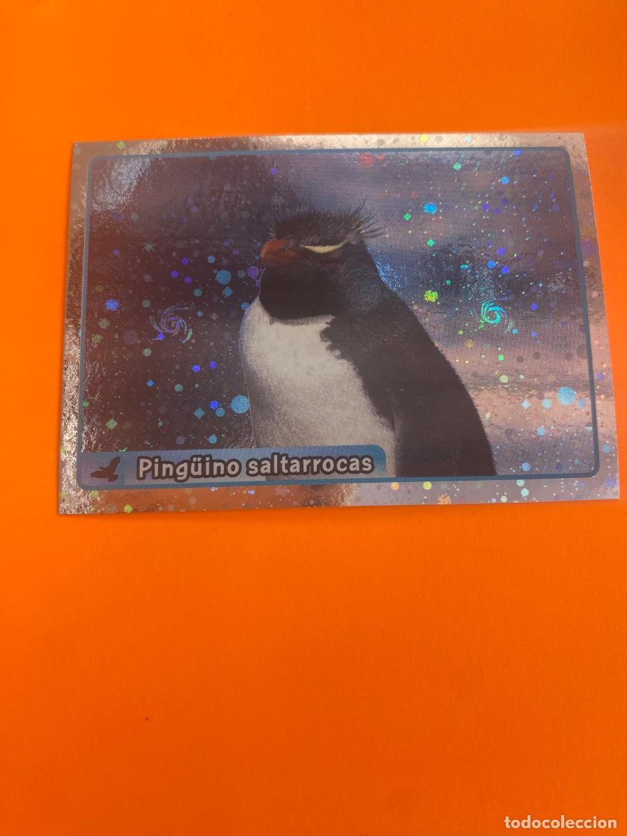 Trading cards: Cromo El Gran &Aacute;lbum del mundo animal 2013 n.290