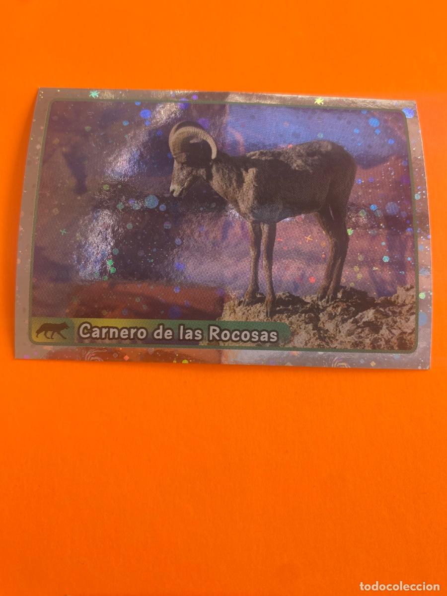 Trading cards: Cromo El Gran &Aacute;lbum del mundo animal 2013 n508
