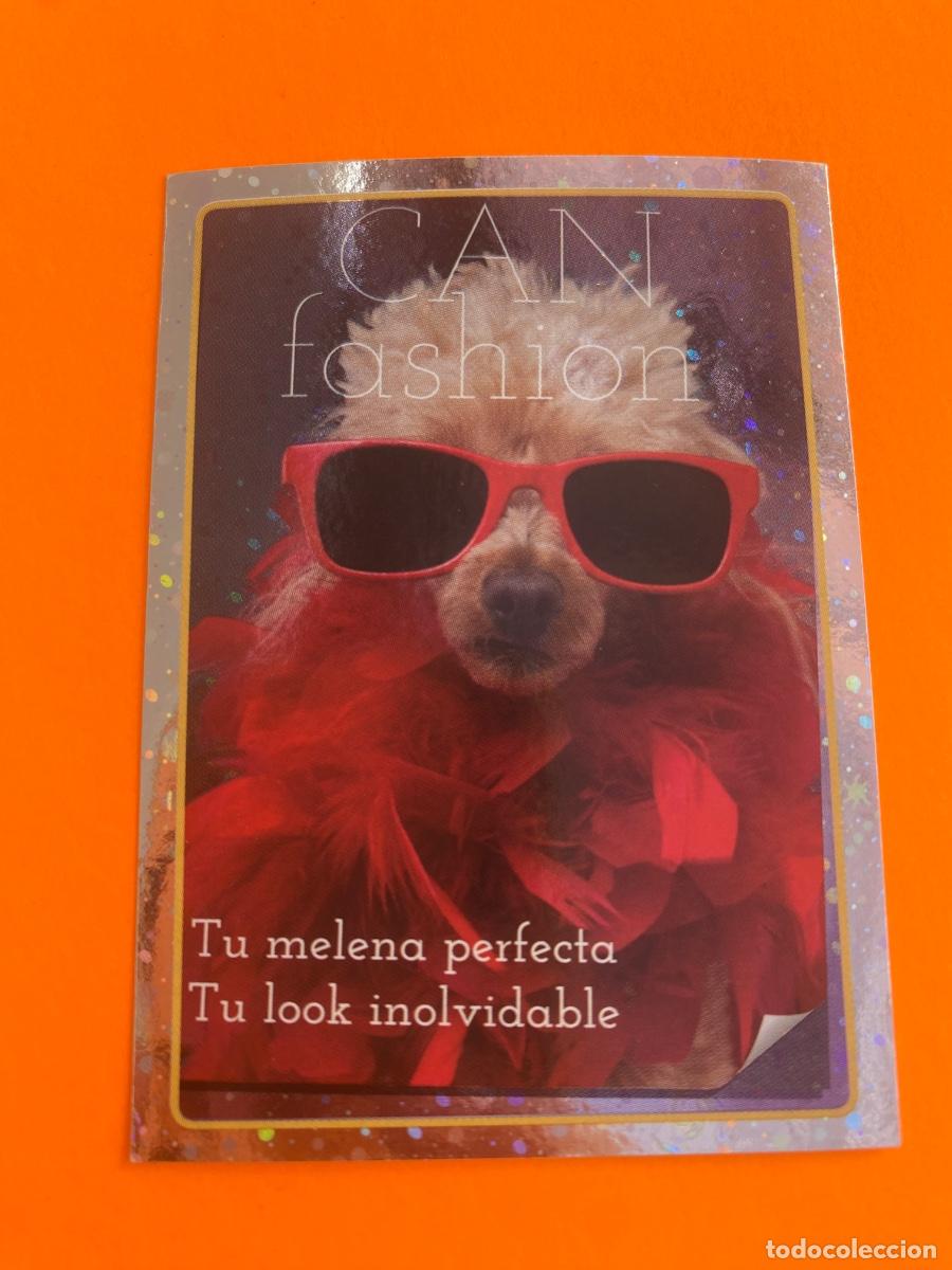 Trading cards: Cromo El Gran &Aacute;lbum del mundo animal 2013 n 083