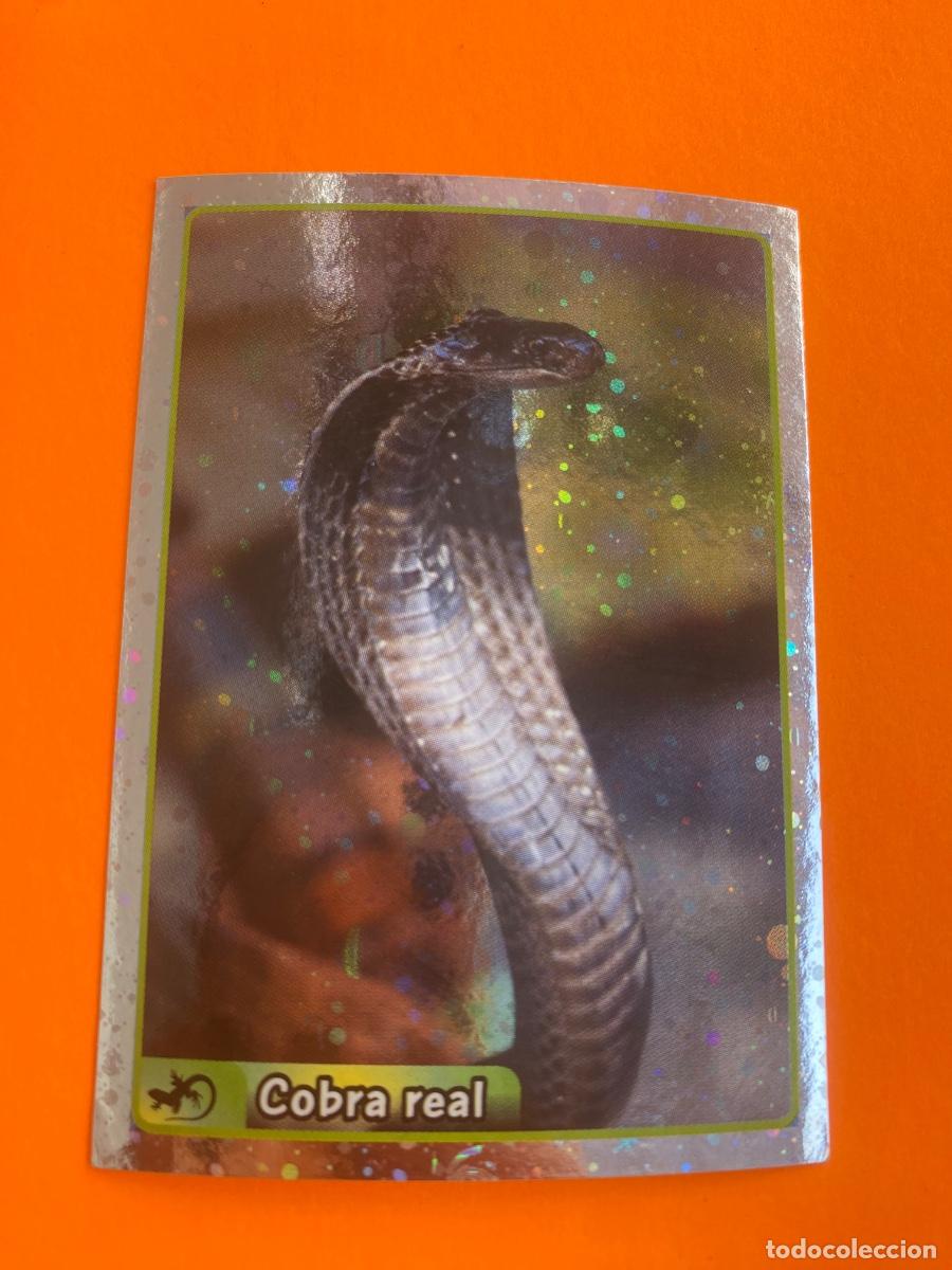 Trading cards: Cromo El Gran &Aacute;lbum del mundo animal 2013 n 149