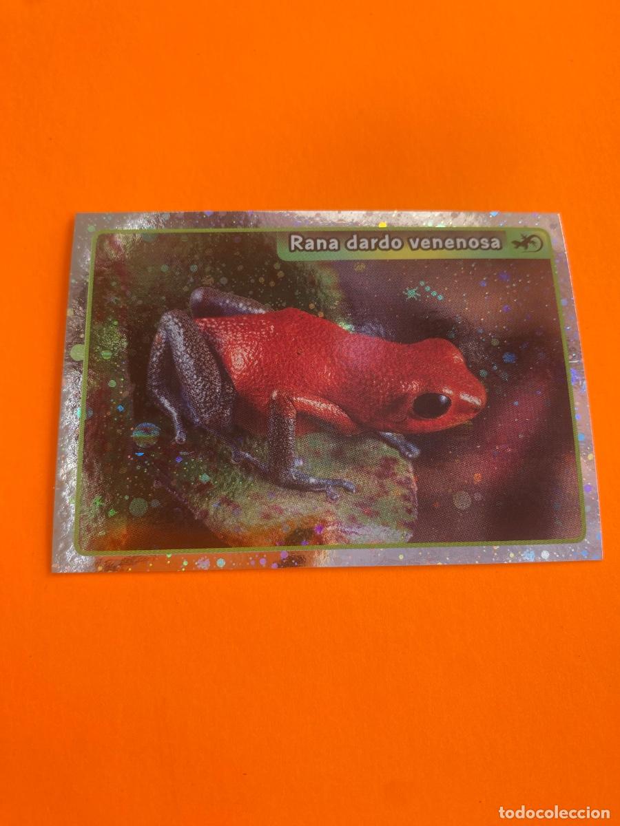 Trading cards: Cromo El Gran &Aacute;lbum del mundo animal 2013 n 081