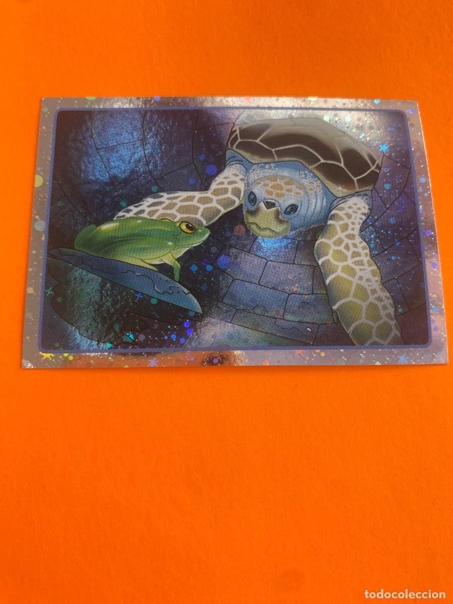 Trading cards: Cromo El Gran &Aacute;lbum del mundo animal 2013 n 237