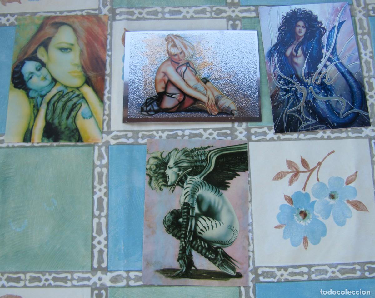 Figurine Collezionabili: OLIVIA BERARDINIS - PROMO CARDS