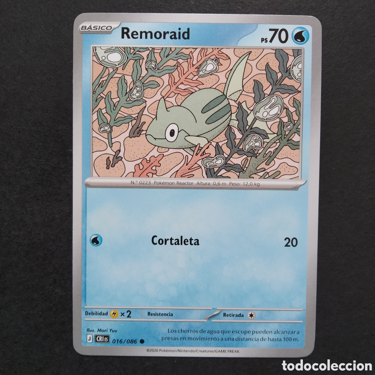 Trading cards: CARTA TCG - N&ordm; 016 - REMORAID - CAOS CRECIENTE - POK&Eacute;MON - EN ESPA&Ntilde;OL