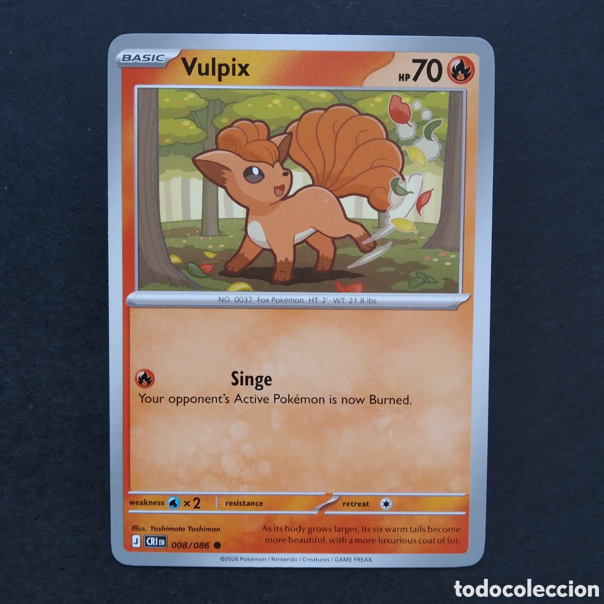 Trading cards: CARTA TCG - N&ordm; 008 - VULPIX - CHAOS RISING - POK&Eacute;MON - EN INGL&Eacute;S