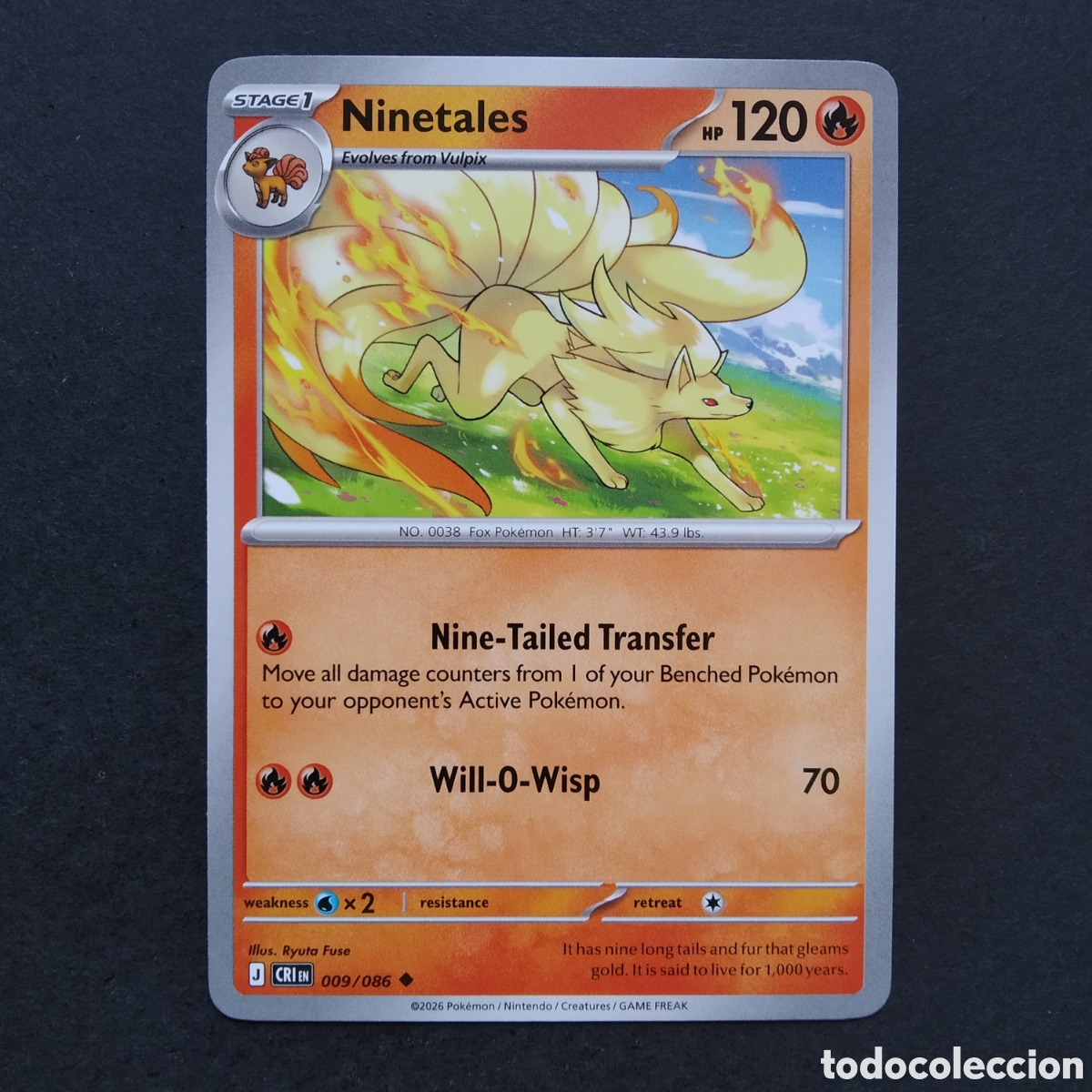 Trading cards: CARTA TCG - N&ordm; 009 - NINETALES - CHAOS RISING - POK&Eacute;MON - EN INGL&Eacute;S